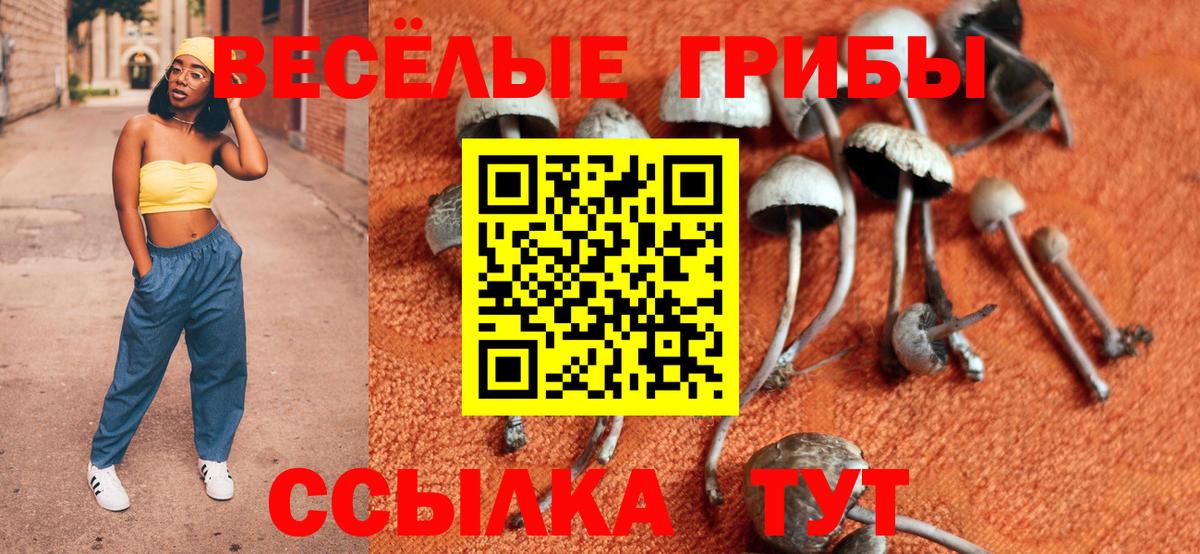 Псилоцибиновые грибы ЛСД  Псилоцибиновые грибы Magic Shrooms  Вход с VPN  Кольчугино 
